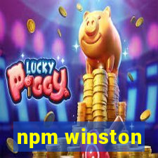 npm winston